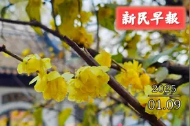 “丹娜丝”将二次登陆，台风外围影响申城；14时起，可到上观查上海中考成绩图片