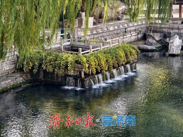 一年四季 泉在济南丨玛瑙泉“瀑布流金”引客来