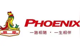 上海消防公布近期电动自行车火灾案例：涉凤凰、永久、天能等品牌图片