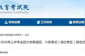 英语四、六级考试，3月20日网报图片
