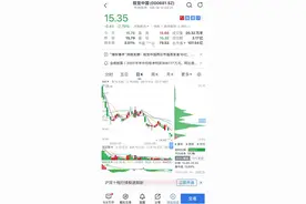 视觉中国股价连跌3日，上半年净利润增超65%难挽颓势图片