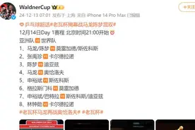 马龙、陈梦今天出战！出席欢迎晚宴正装造型曝光图片