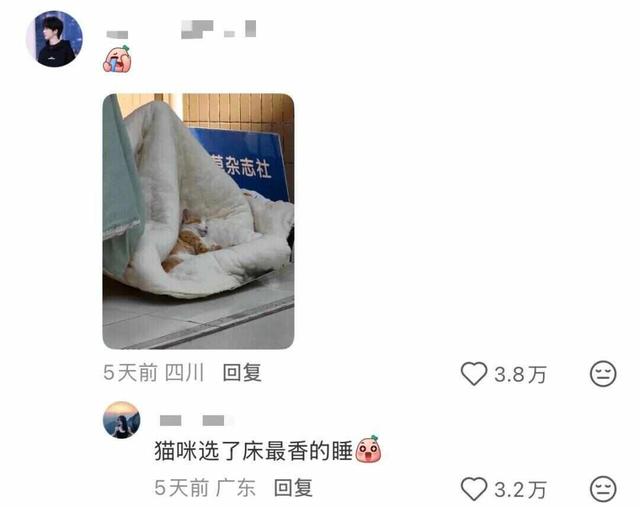 网友分享“伞上晒被”像彩色蘑菇！这份科学晒被攻略请收好