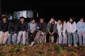 爱农强农兴农，拼多多联合中央广播电视总台推出科技小院真人秀图片