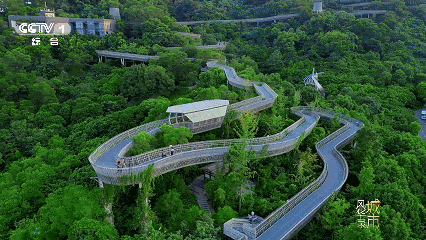 火出圈的福州福道，由他主持设计！