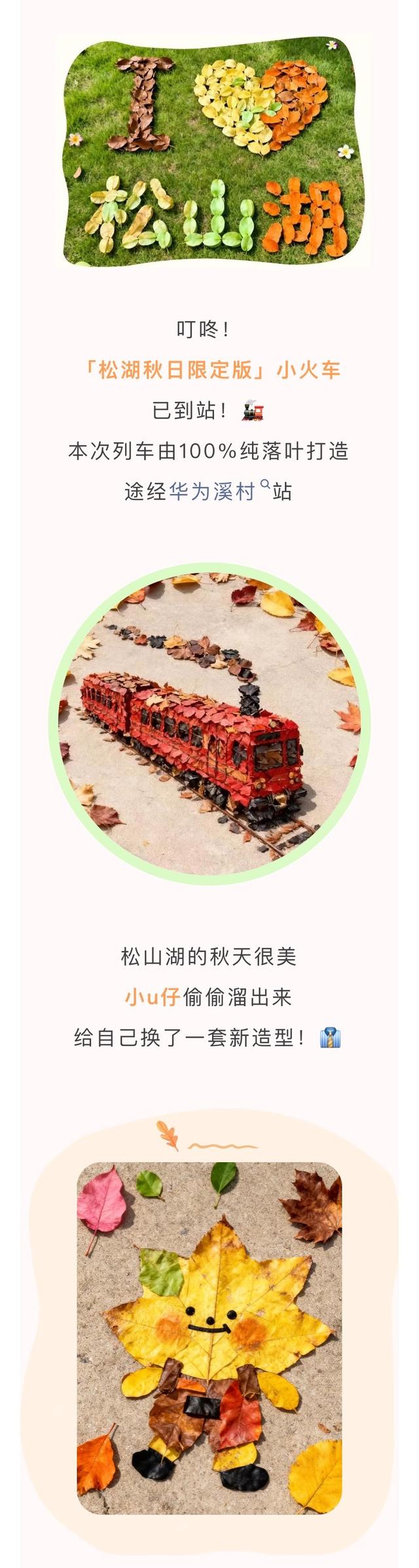 最美松湖｜烦恼No，捡秋Go！来这里一键切换治愈模式