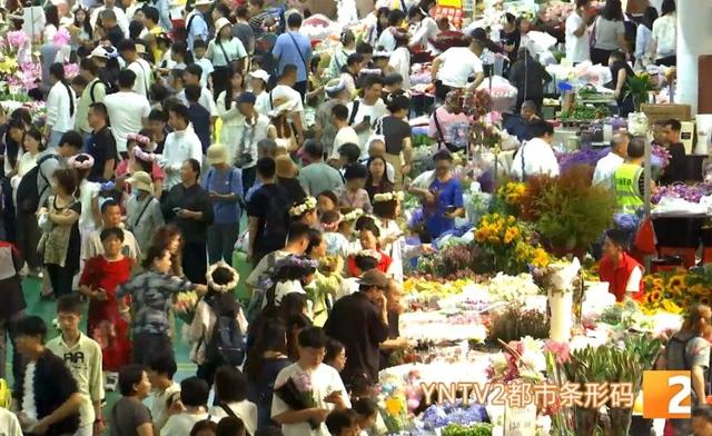 20℃的天气，100℃的人气！在这里“一句昆明话都听不见”