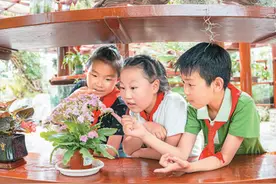 中国珍稀濒危野生动植物种群数量稳步增长图片