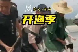 视频｜一网上万斤！看南海渔民开海捕鱼拉大网！图片