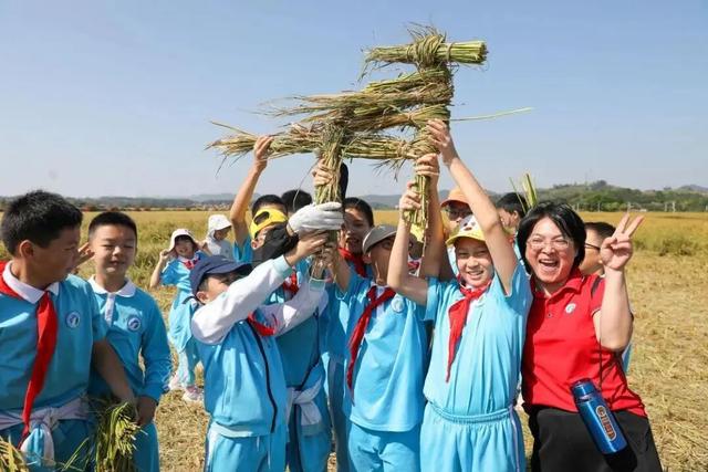 秋假出发！高明6大研学路线出炉，速速来查收