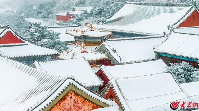 泰山冬日初雪 漫山银白如画