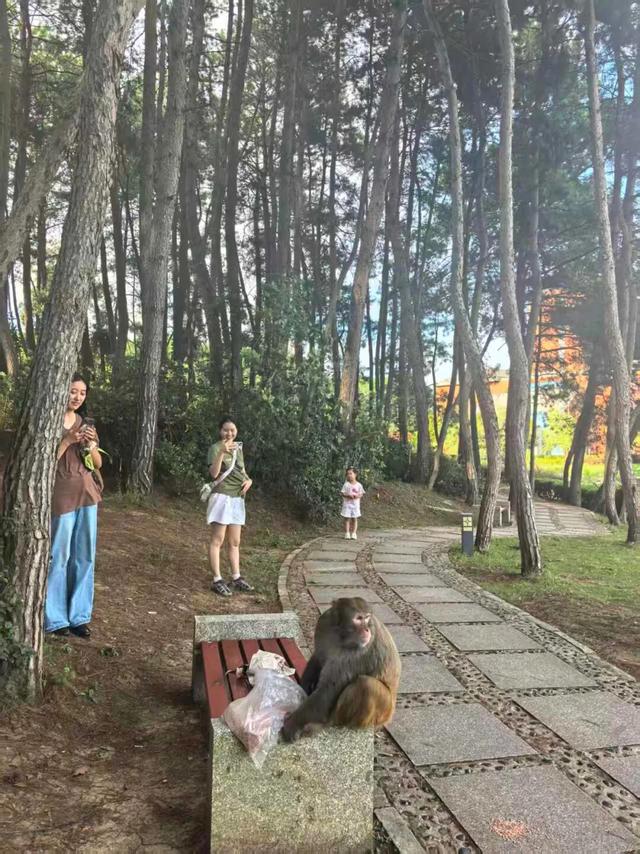 吕德文：怀念那个无聊到发疯的年代