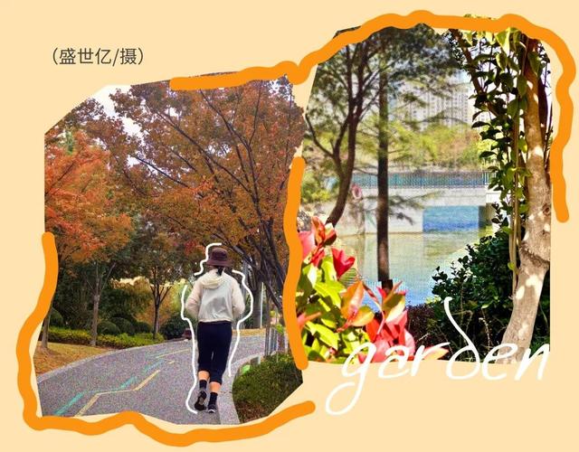 闵行的晚秋，太温柔