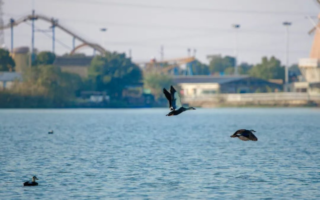美翻了！南湖，正是红橙黄绿时