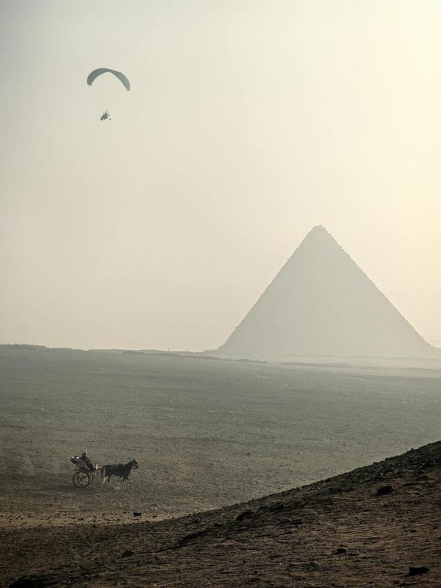 晚潮｜吉萨平原上的背影