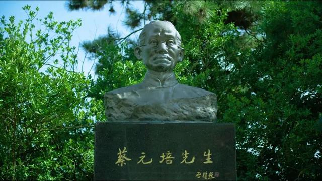 这才是青岛人私藏的城市封面！“醉美”红礁石、中国首个水族馆，年卡99元起畅玩！