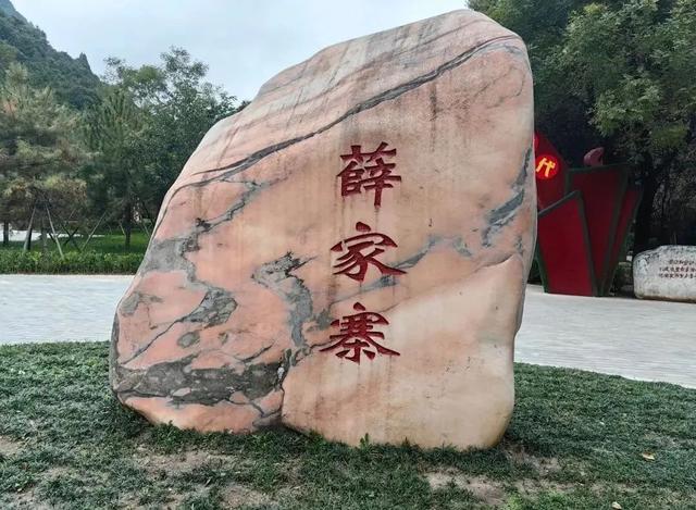 救命！被陕B“拿捏”了！