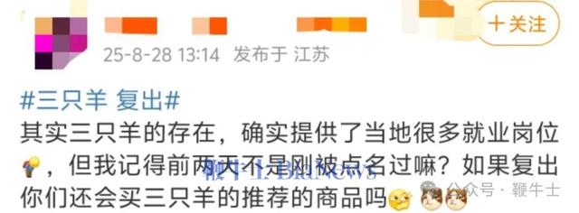 三只羊复出登上热搜第一！辛巴前脚刚宣布退网