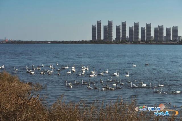 出发！抓住秋天的尾巴威海『拾秋地图』上新啦