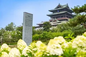 北京世园国际旅游度假区4万株绣球花进入盛花期图片