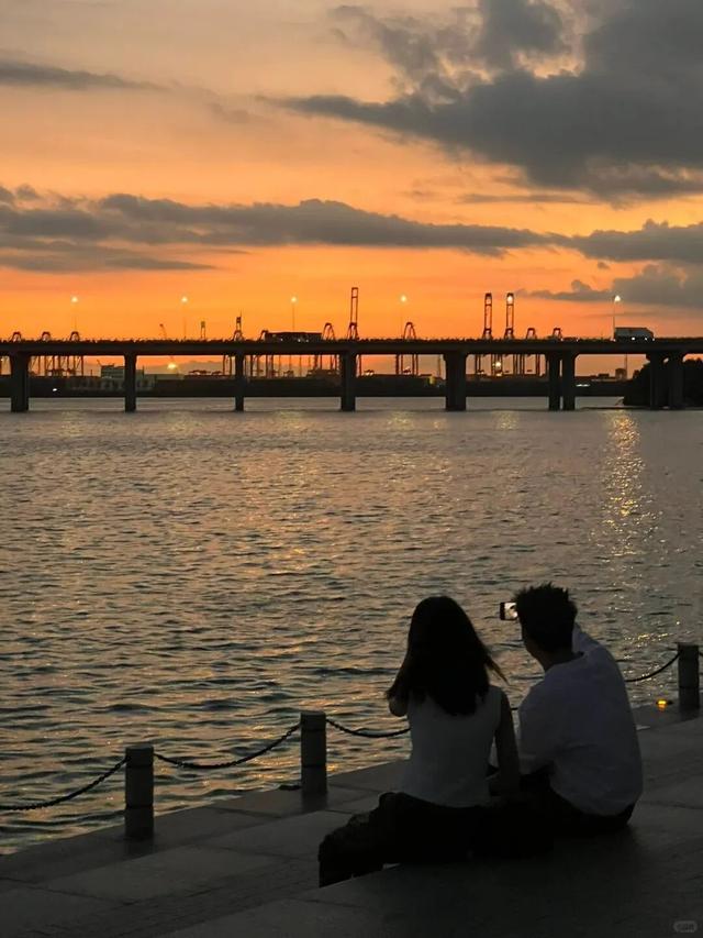 先锋在行动｜守护“一湾碧水” 让市民游玩体验更清新、更“出片”