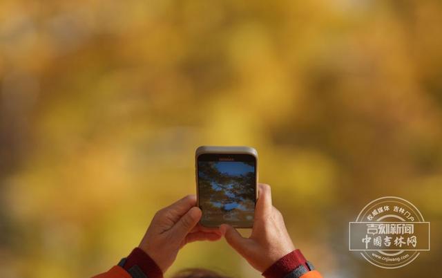 吉镜头丨赏秋必打卡——百木园“黄金大道”