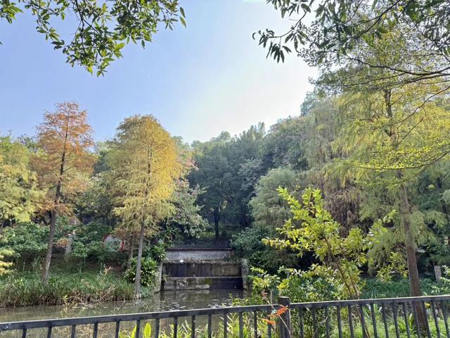 今天走了一段很长的路