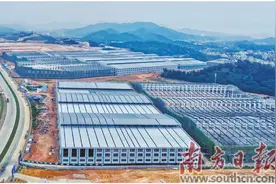 东成镇大江镇获评优秀等次图片