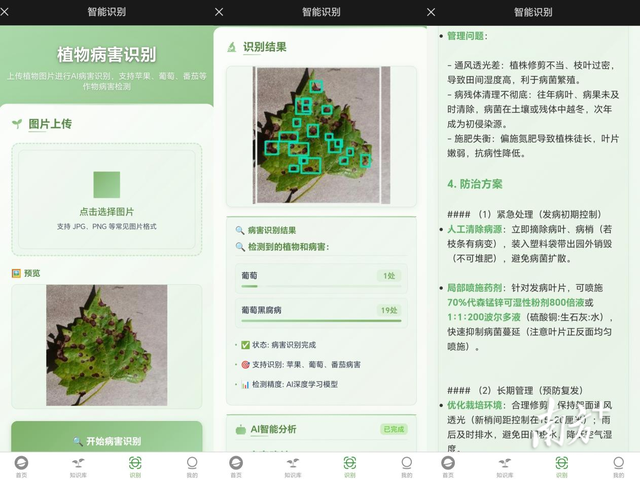 AI与青梅巧妙融合，深信大与陆河县双向奔赴