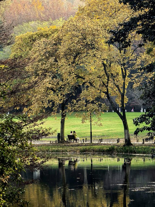 晚潮｜西湖赏枫人群中为何少了苏轼