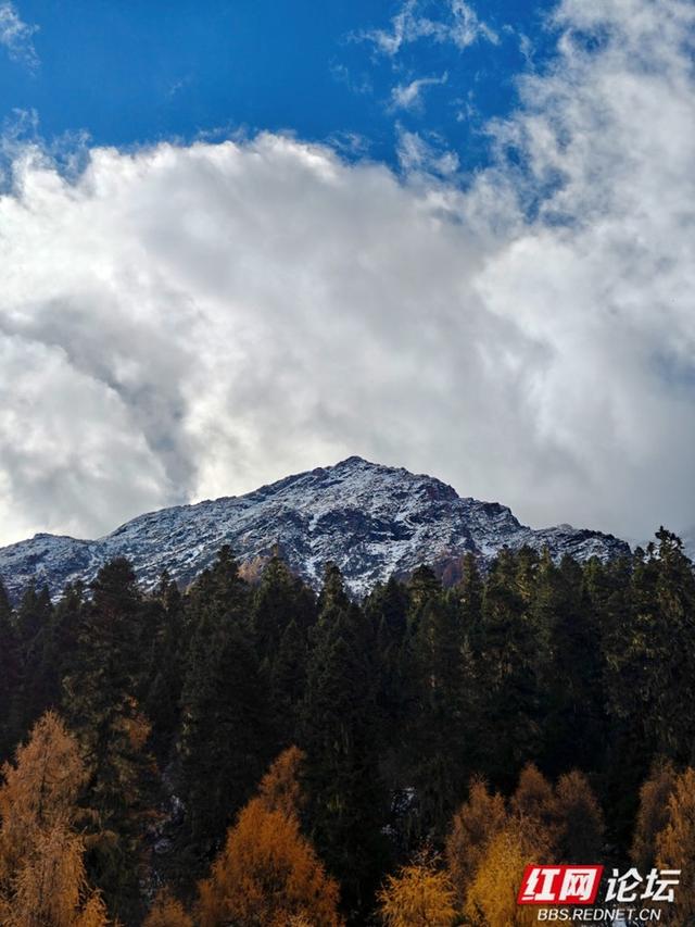 岁暖时刻丨玛嘉沟印记：从腿酸到心暖的高海拔之旅