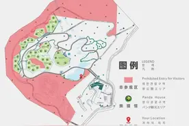 周游天下丨中国大熊猫保护研究中心卧龙神树坪基地：禁止使用闪光灯拍摄大熊猫图片