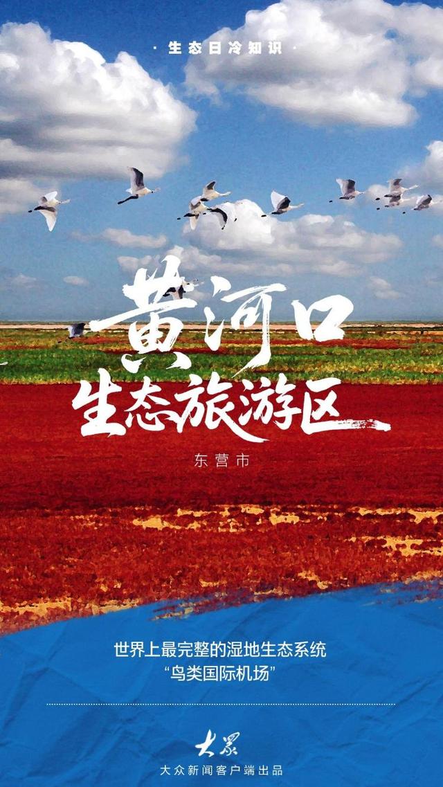 探访齐鲁大地的绿色“角落”：看看家门口的小惊喜