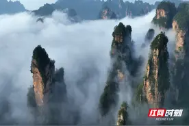 张家界武陵源：水绕四门峰林如画 百龙天梯云海壮阔图片