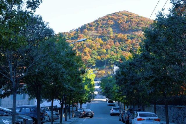 威海“封神”机位！走在路上一回头，整片大海扑进镜头里