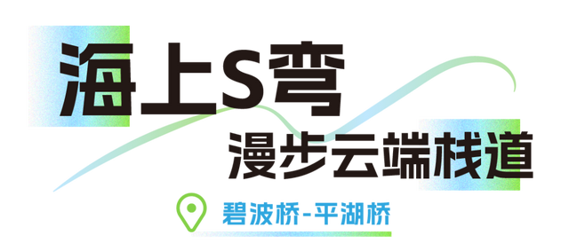武汉绝美「海上公路」，就在东湖！