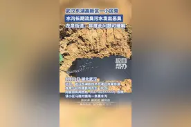 极目帮办|武汉东湖高新区一小区旁水沟长期流臭水，臭味引居民不满图片