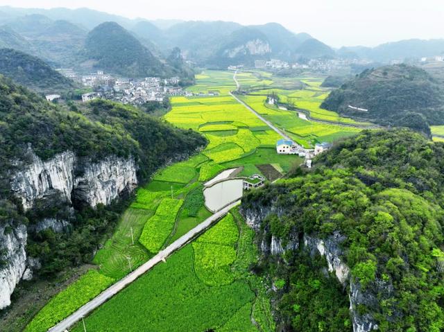 一场年轻人和乡村的双向奔赴