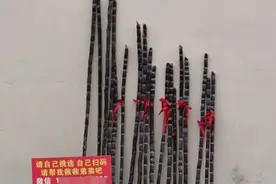 大学毕业后，她摆摊卖甘蔗，顾客却只付钱不要货图片