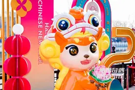 北京荷花市场冰雪嘉年华新春市集开幕图片