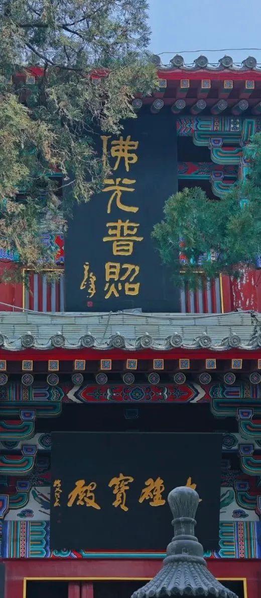 龙门石窟旅游攻略，看这一篇就够了！
