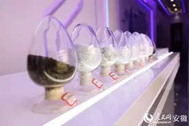 安徽向新丨产学研合作下的“五河之变”图片