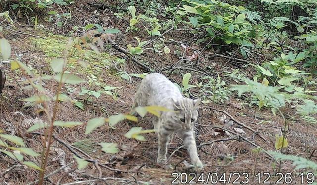 从这里，重新认识南山国家公园！央视《远方的家》山重水复，秘境逢生！