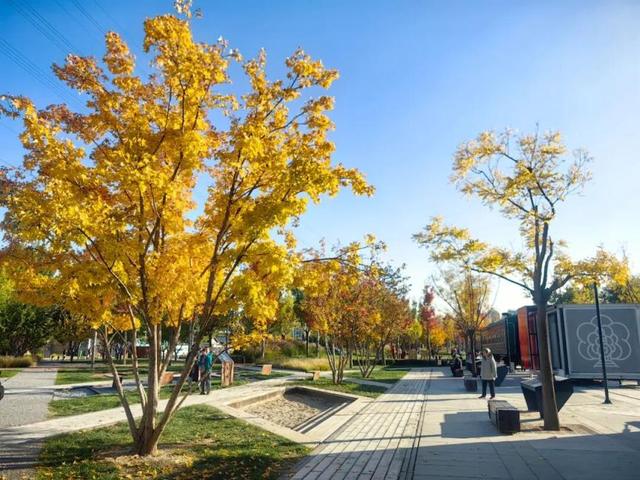 “这条铁轨，串起了历史、生活与未来！”你来过吗？