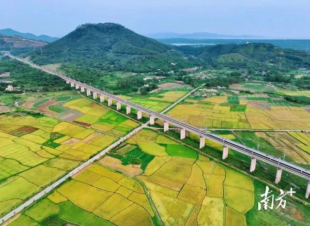重阳登高，阳东哪座山最让你心驰神往？
