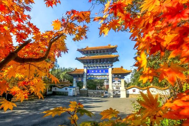 持续至11月的文旅盛宴！沈阳都市圈秋季游启动