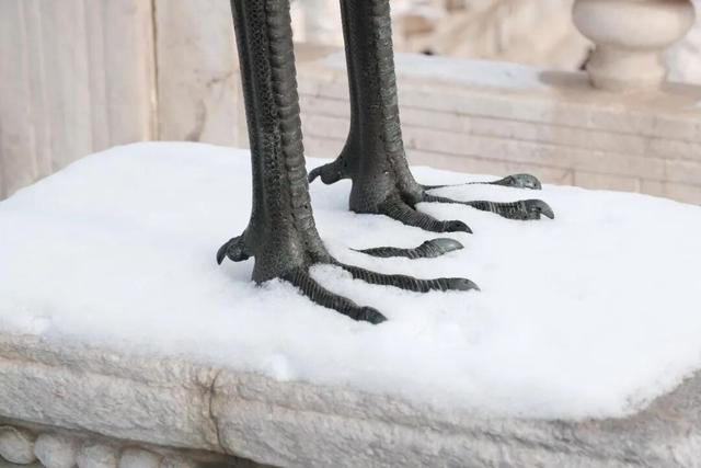 周末，他们涌向故宫，只为一件事