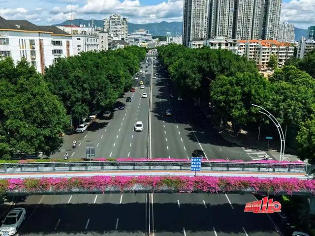 一大波“上新”！福州这一幕幕，太惊艳！不少人直呼“太好拍了”