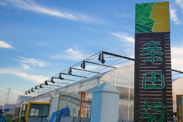 不出闵行，来场“去班味”的治愈之旅！清单已列好→