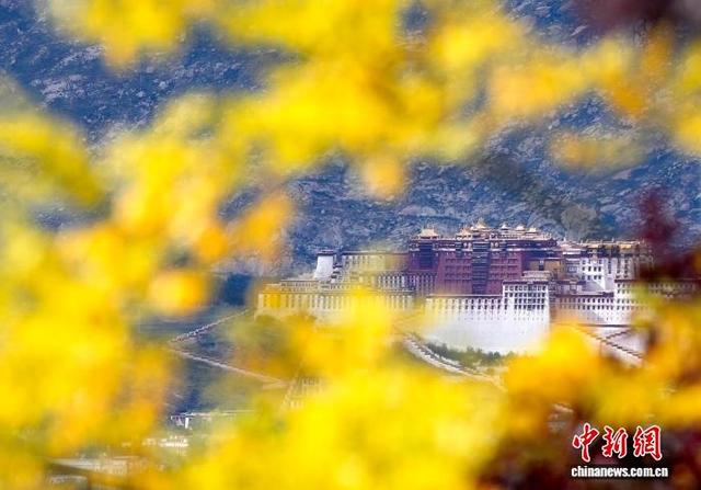 拉萨天堂草原自然风景区成网红打卡点